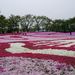 20060429_morinjiashikagatrip_010